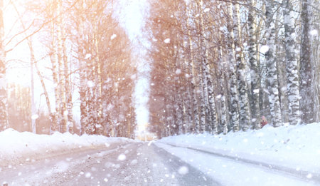 Winter landscape snow covered expanses. A park in the winter in