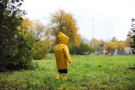 Children in the autumn park walkの写真素材