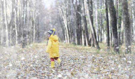 Toddlers walk in the autumn park. First frost and the first snow in the autumn forest. Children play in the park with snow and leaves.の写真素材