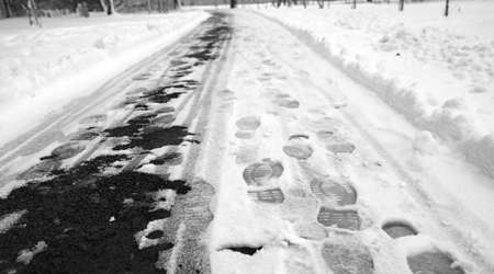 Footprints in the snow. Footprints on the first snow. Imprint of shoes and footprints of animals and birds on the snow.の写真素材
