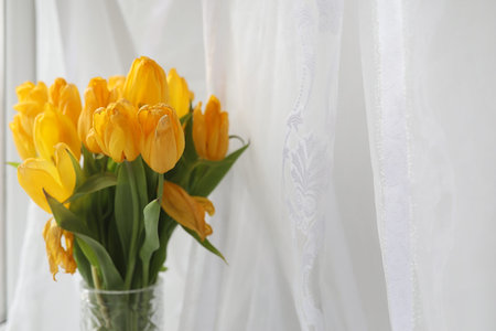 A bouquet of yellow tulips in a vase on the windowsill. A gift tの写真素材