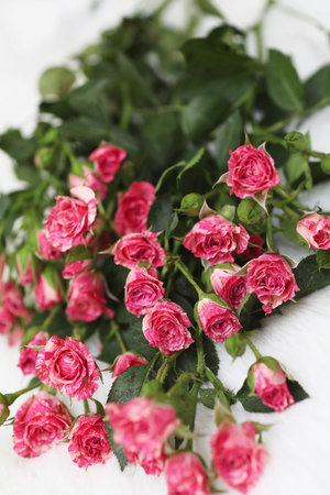 Bouquet of red roses on a white backgroundの写真素材