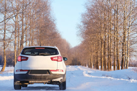 Winter landscape snow covered expanses. A park in the winter in the snow. Road on winter dayの写真素材