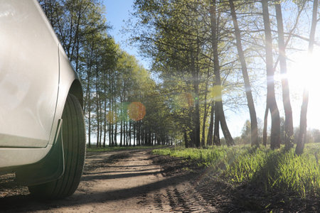 Landscape is summer. Green trees and grass in a countryside landscape. Nature summer day. Leaves on bushes.の写真素材