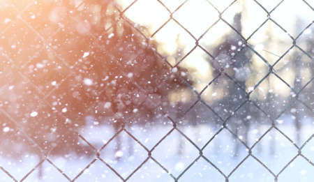 Winter landscape snow covered expanses. A park in the winter in the snow. Road on winter day.
の写真素材