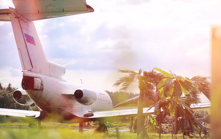 Plane in the jungle. The plane landed in the dense vegetation of the palms. Journey to island in the...