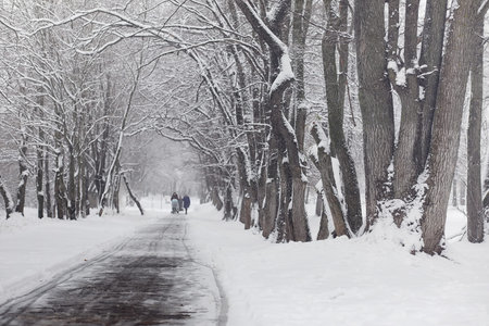 Snow-covered winter park and benches. Park and pier for feeding ducks and pigeons. The snow covered the autumn park.の写真素材