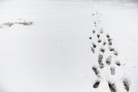 Footprints in the snow. Footprints on the first snow. Imprint of shoes and footprints animals and...
