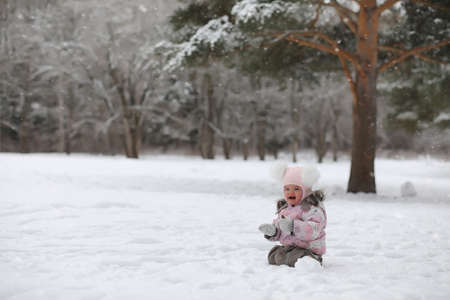 Children walk in the park in winter. Winter forest a family withの写真素材