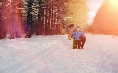 Winter park under the snow. January morning walk through the forの写真素材