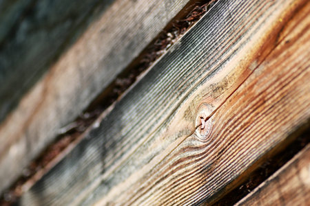 Texture of a old wooden beam of birchの写真素材