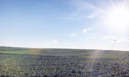 Landscape is summer. Green trees and grass in a countryside landの写真素材