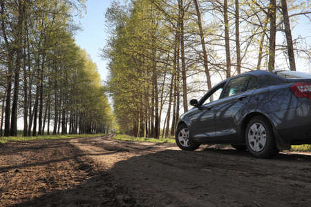 Landscape is summer. Green trees and grass in a countryside landの写真素材