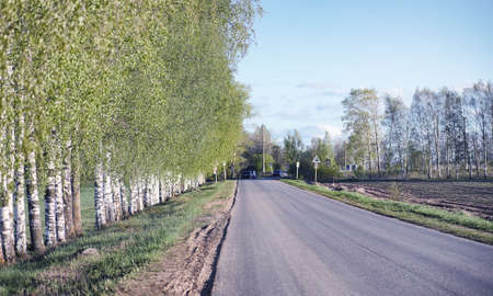Landscape is summer. Green trees and grass in a countryside landscape. Nature summer day. Leaves on bushes.の写真素材