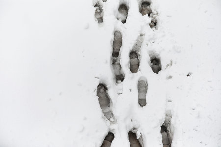 Footprints in the snow. Footprints on the first snow. Imprint of shoes and footprints animals and...