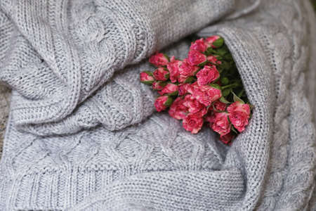 Bouquet of red roses on a textile sweaterの写真素材