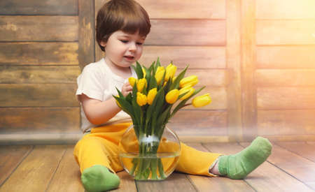 A small child with a bouquet of yellow tulips. A boy with a giftの写真素材