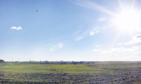 Landscape is summer. Green trees and grass in a countryside landscape. Nature summer day. Leaves on...