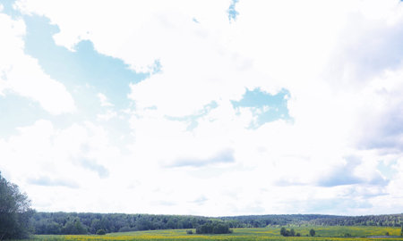Landscape is summer. Green trees and grass in a countryside landの写真素材