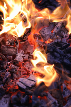 Fire wood coal and amber ash closeup