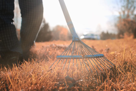 man with rakes in autumn old grass