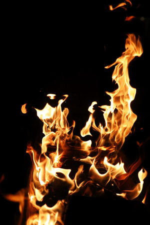Tongues of flame of fire of orange-yellow color from burning fir