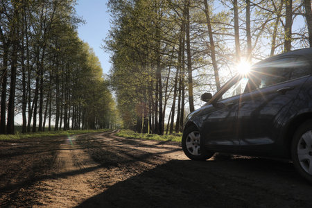 Landscape is summer. Green trees and grass in a countryside landの写真素材