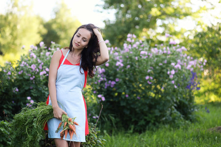 Vegetable garden - lovely gardener with bunch of carrotの写真素材