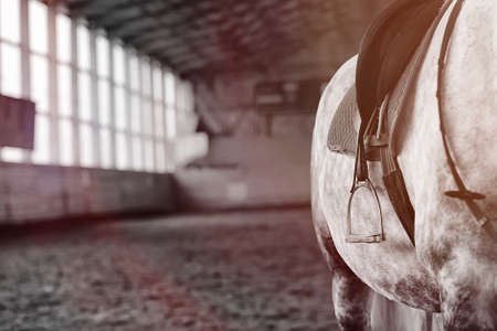 Young people on a horse training in wooden arenaの写真素材