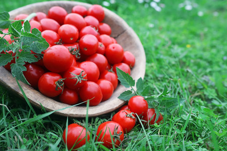 Fresh tomato crop in a wooden bowlの写真素材