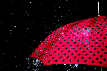rain drop umbrella isolatedの写真素材