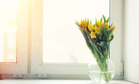 A bouquet of red tulips in a vase on the windowsill. A gift forの写真素材