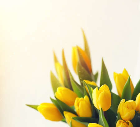 A bouquet of red tulips in a vase on the windowsill. A gift forの写真素材
