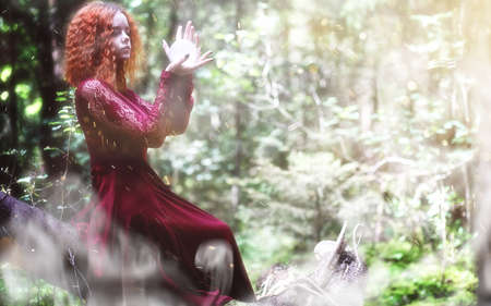 Witch ritual in a forestの写真素材