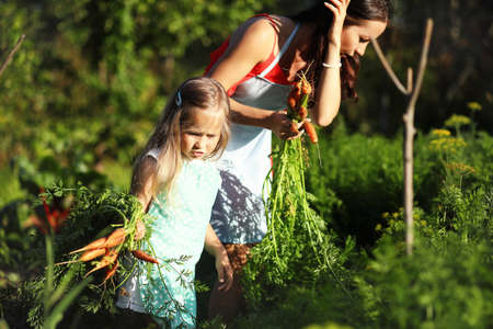 Female gardener holding fresh organic vegetables from farm. Harvest timeの写真素材