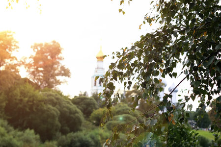 spring cathedral sunset tree