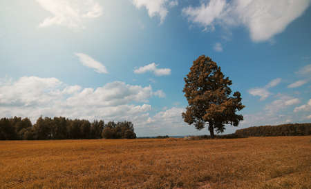 A young man looks at a mapの写真素材