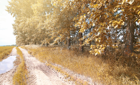 A young man looks at a mapの写真素材
