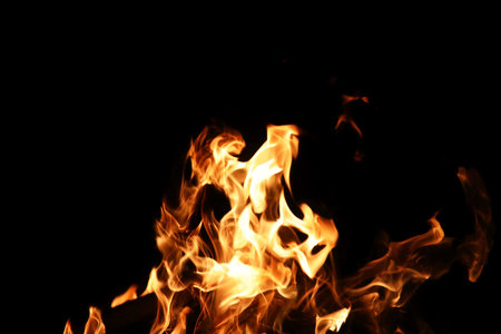 Tongues of flame of fire of orange-yellow color from burning fir
