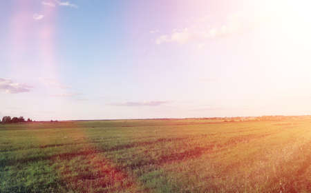 Landscape outside the city. Grassy field and blue sky. Sunset ovの写真素材