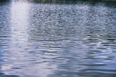 Landscape lake. Texture of water. The lake is at dawn. The mouth of the river at the confluence of lake.の写真素材