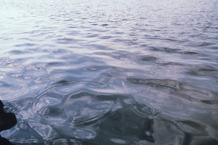 Landscape lake. Texture of water. The lake is at dawn. The mouth of the river at the confluence of...