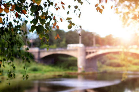 cathedral on  sunset treeの写真素材