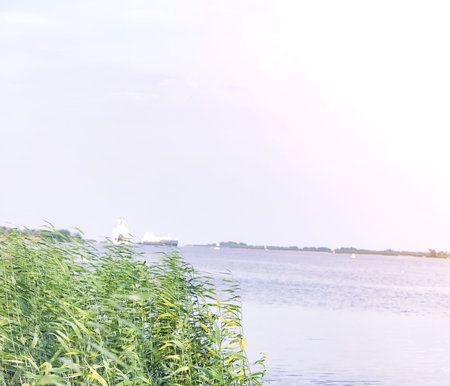 Landscape lake. Texture of water. The lake is at dawn. The mouth