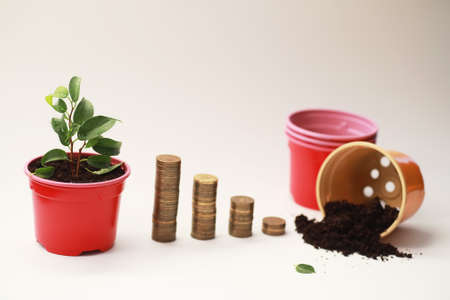 A potted plant and a pile of coins a concept of income
の写真素材