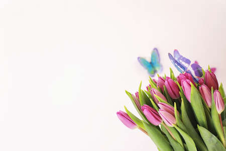 Bouquet of beautiful pink tulips on a white background
の写真素材
