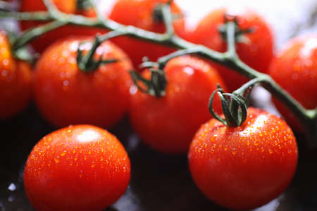 Branch with fresh cherry tomatoes. Ripe red tomatoes. Tomatoes and pasta with spicesの写真素材