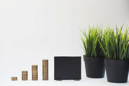 A potted plant and a pile of coins a concept of incomeの写真素材