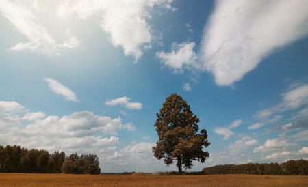 A young man looks at a map autumn season