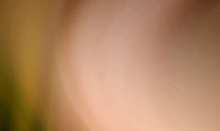 Abstract colored lines background and blurred imagesの写真素材